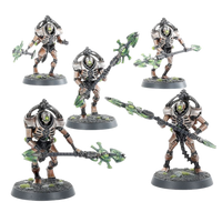 Necrons: Triarch Praetorians/Lychguard