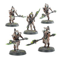 Necrons: Triarch Praetorians/Lychguard