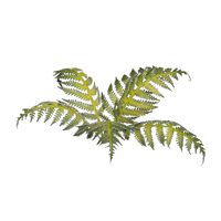 Gamers Grass - Laser Plants - Bracken