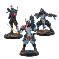 Infinity - Shindenbutai Expansion Pack Gamma