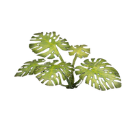 Gamers Grass - Laser Plants - Monstera