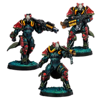 Infinity - Rodoks, Armed Imposition Detachment
