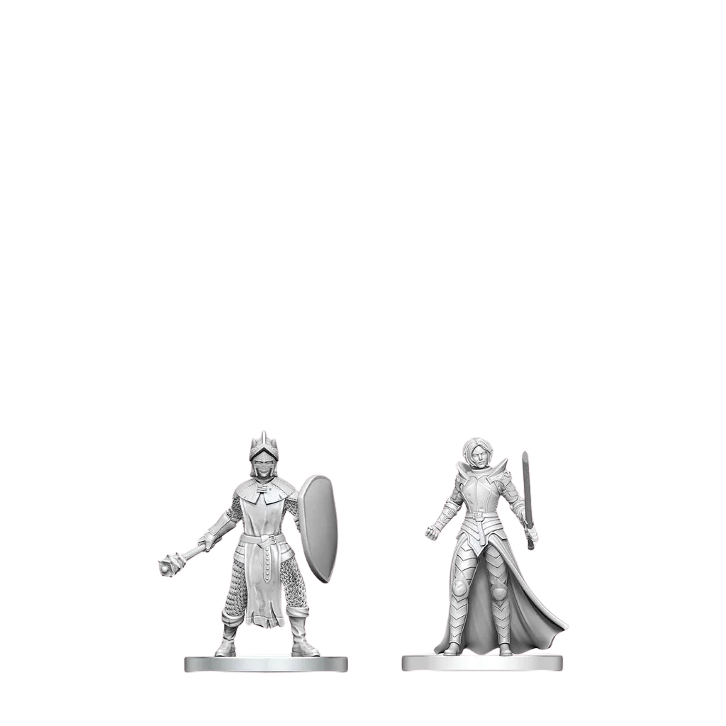 D&D Nolzur's Marvelous Miniatures: Black Gauntlet & Zhentilar Paladin of Bane
