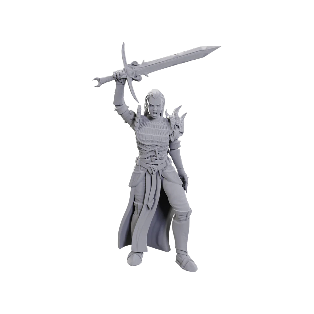 D&D Nolzur's Marvelous Miniatures - Blackguard