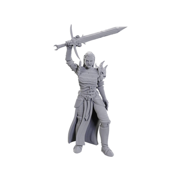 D&D Nolzur's Marvelous Miniatures - Blackguard