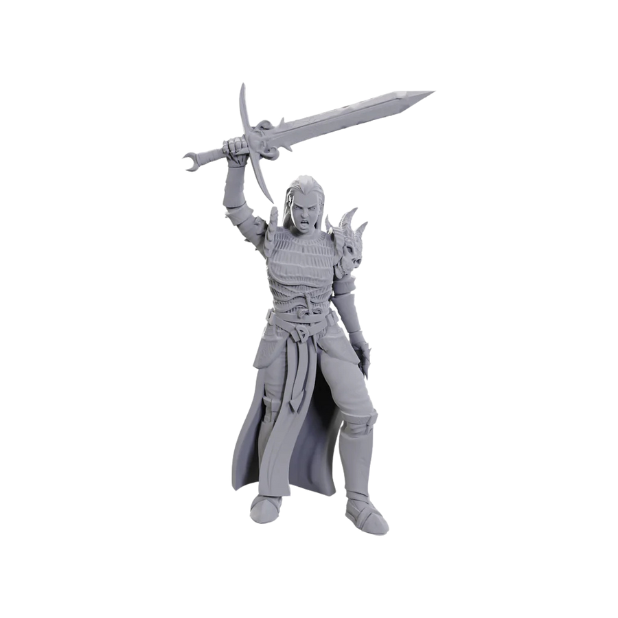 D&D Nolzur's Marvelous Miniatures - Blackguard