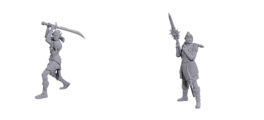 D&D Nolzur's Marvelous Miniatures - Special Edition Baldur's Gate 3 — Lae'zel & Shadowheart