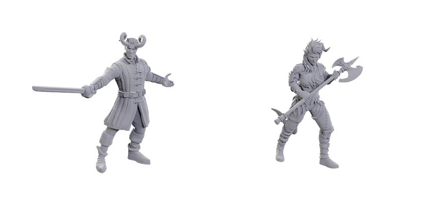 D&D Nolzur's Marvelous Miniatures - Special Edition Baldur's Gate 3 — Wyll & Karlach