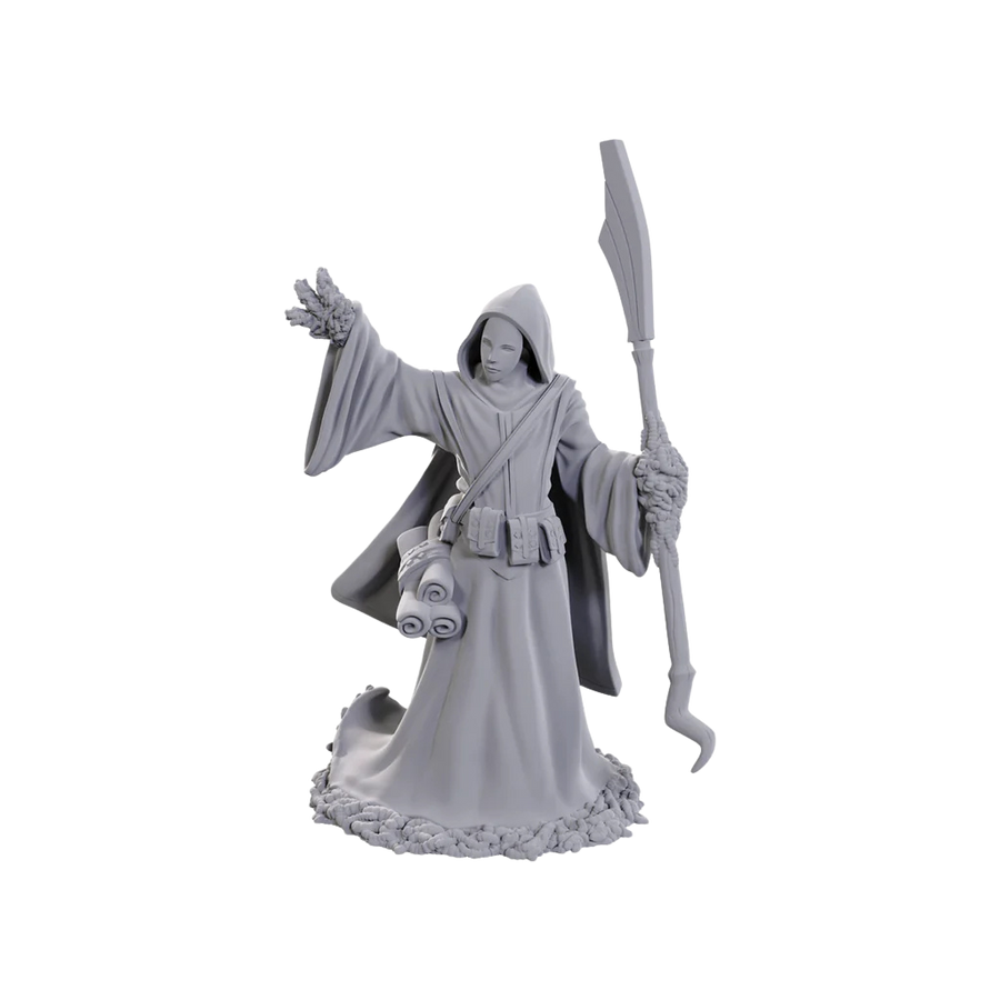 D&D Nolzur's Marvelous Miniatures - Star Spawn Larva Mage