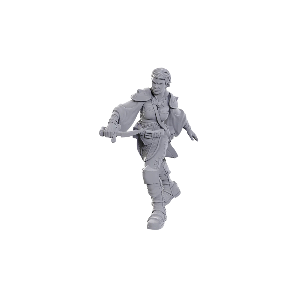 D&D Nolzur's Marvelous Miniatures - Swashbuckler