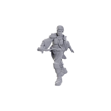 D&D Nolzur's Marvelous Miniatures - Swashbuckler