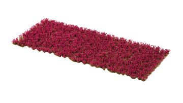 Gamers Grass - Garnet Tulip Tiny Flowers