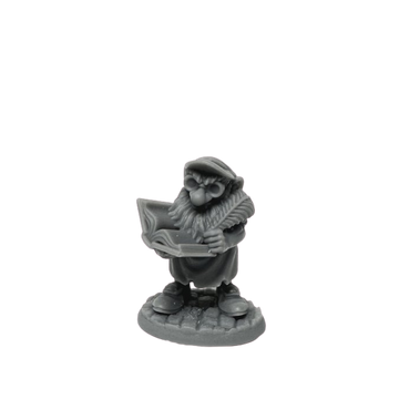 Stub, Gnome Accountant