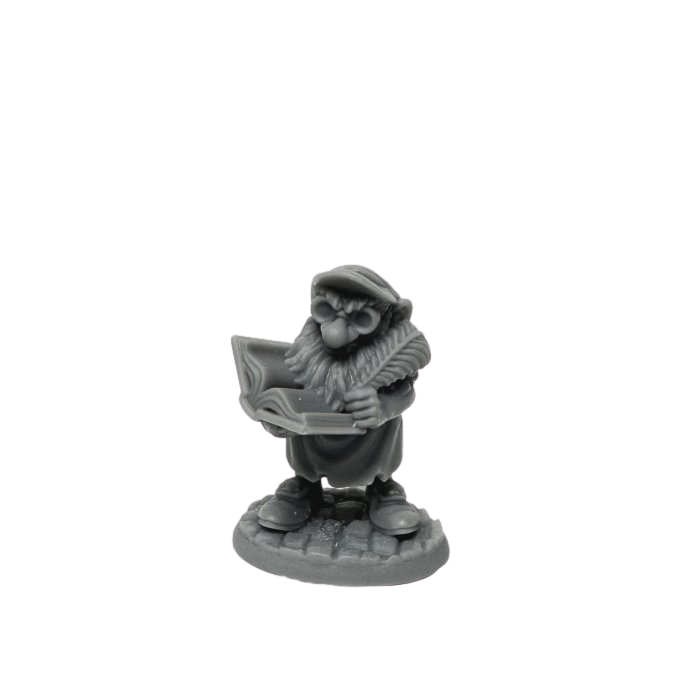 Stub, Gnome Accountant
