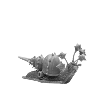 Thrasher Snail