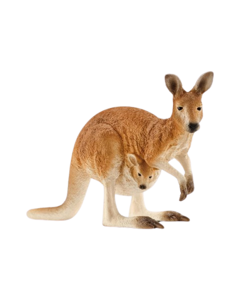 Canguru