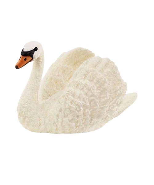 Cisne