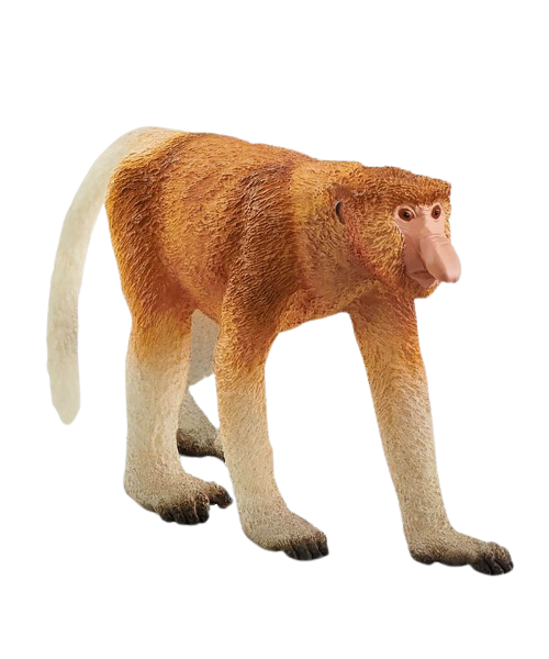 Macaco Narigudo