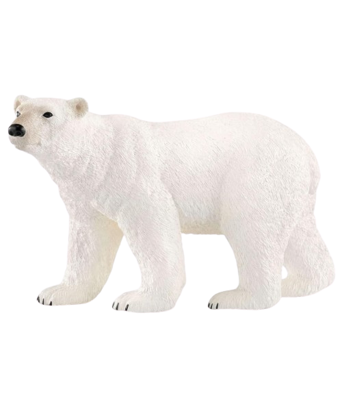Urso Polar