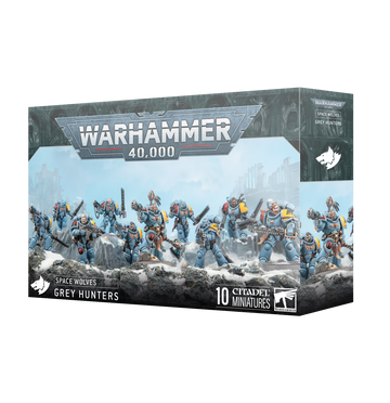 Space Wolves: Grey Hunters