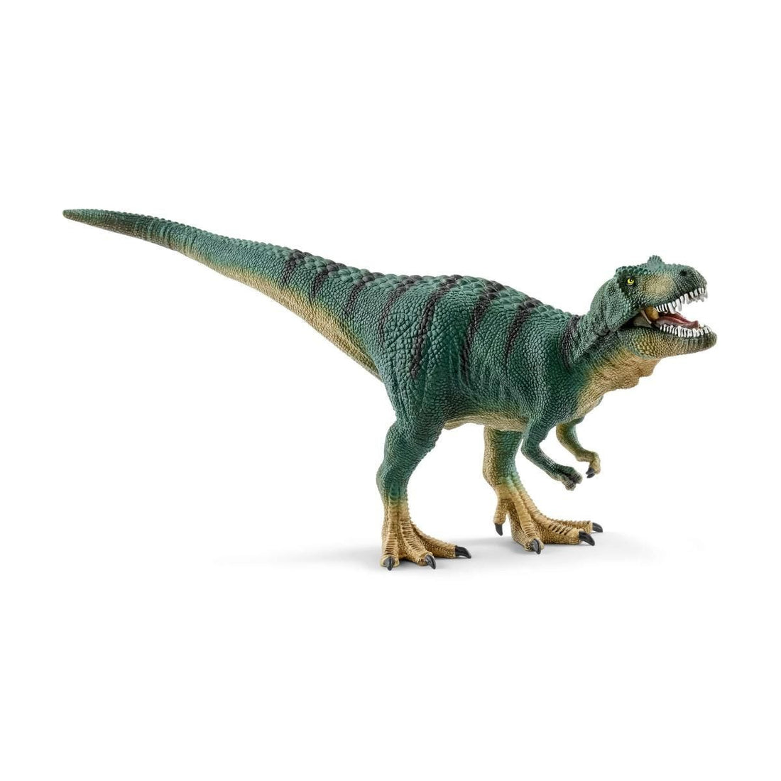 Filhote de Tiranossauro Rex