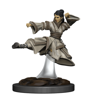 D&D Icons of the Realms Premium Figures: Human Monk Female