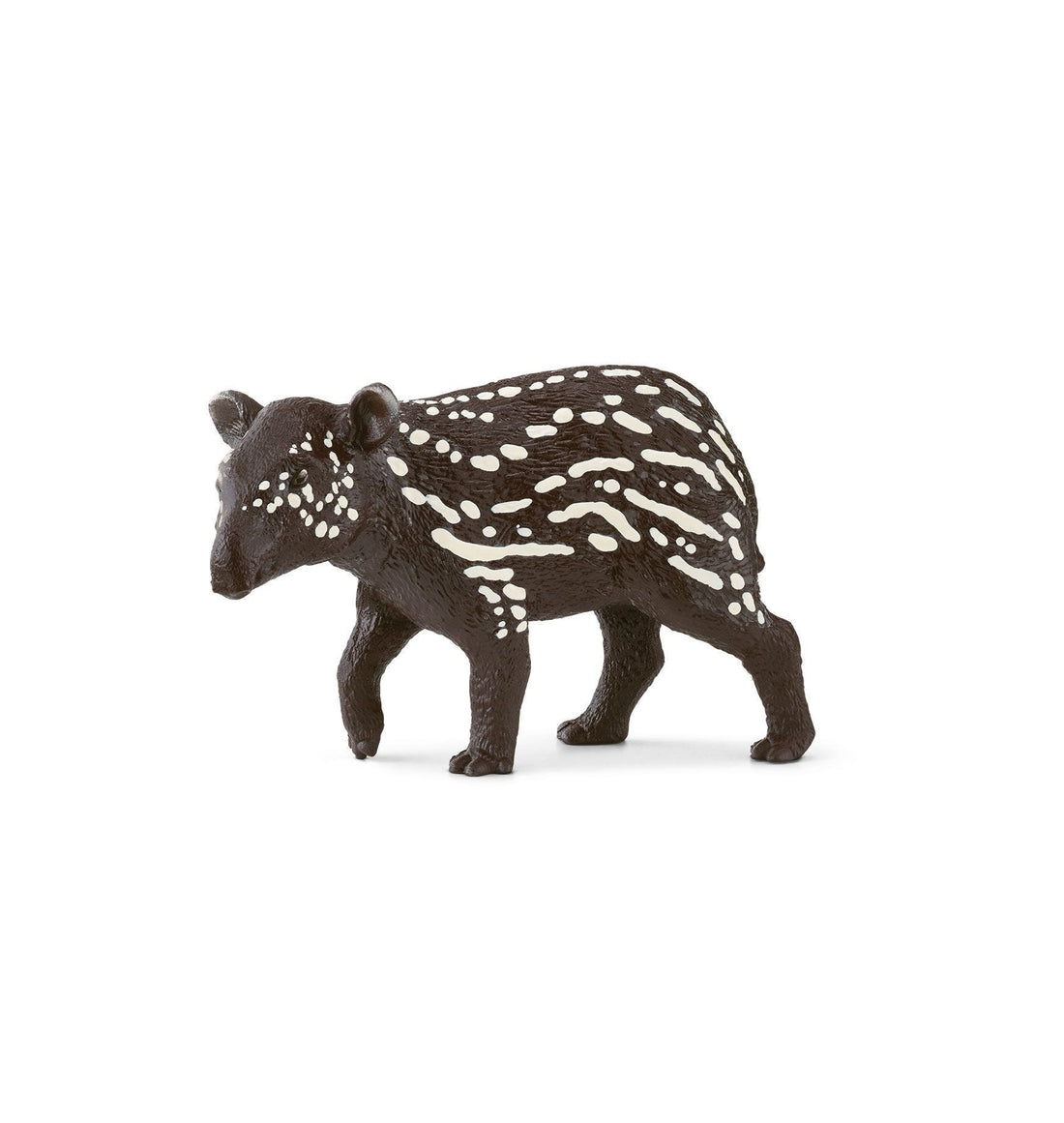 Cria de Tapir